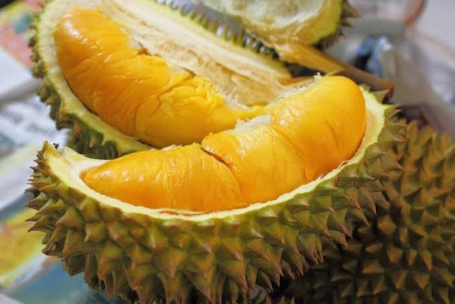Ternyata, Durian Berkhasiat Turunkan Kolesterol dan Gula Darah