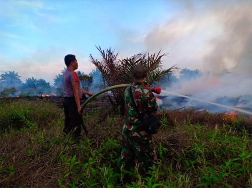 Penetapan Riau Siaga Darurat Karhutla Menunggu Informasi dari BMKG