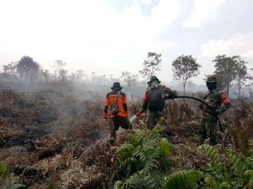 Luas Lahan Terbakar Sepekan Kemarin Jadi 65 Hektar, Ini Daerah Rawan Karhutla di Riau