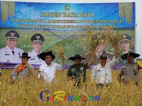 Prajurit TNI yang Merakyat, Brigjend TNI Edy Nasution Panen Raya Padi di Meranti