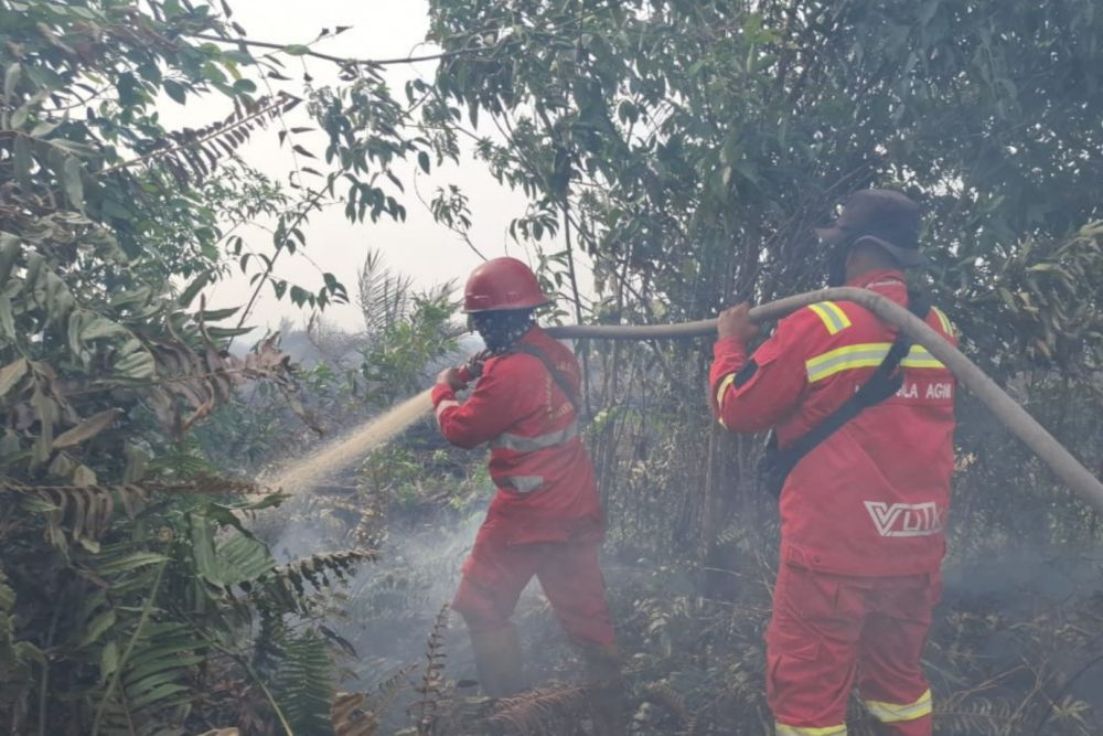 Antisipasi Kemarau Panjang, BPBD Damkar Riau Segera Kumpulkan Kepala Daerah Bahas Siaga Karhutla