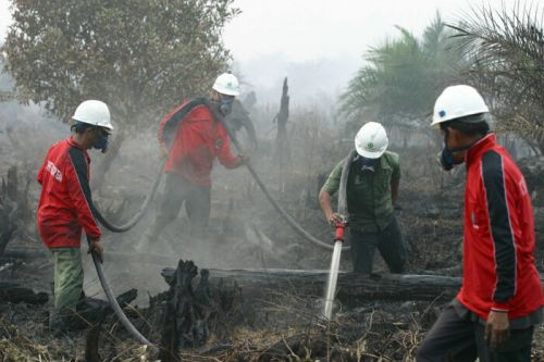 Unri Siap Rancang Hidran Air untuk Atasi Kebakaran Lahan