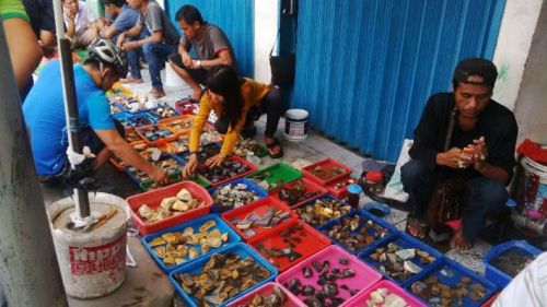 Demam Batu Akik di Pekanbaru Juga Landa Ibu-ibu