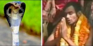 GoRiau Pria India Nikahi Ular Kobra karena Meyakini Jelmaan Perempuan Cantik