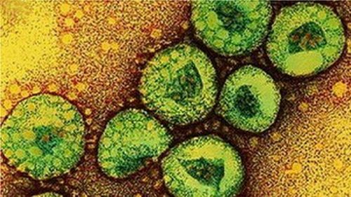 Virus MERS-Cov Gampang Menular, Berikut Penjelasannya