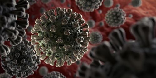 Peneliti dari Universitas Utrecht Temukan Antibodi Penangkal Virus Corona