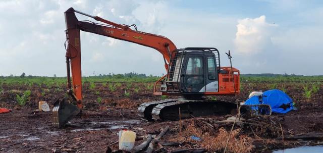 Buka Lahan Sawit di Kawasan Hutan, Pria di Bengkalis Ditangkap Ditreskrimsus Polda Riau
