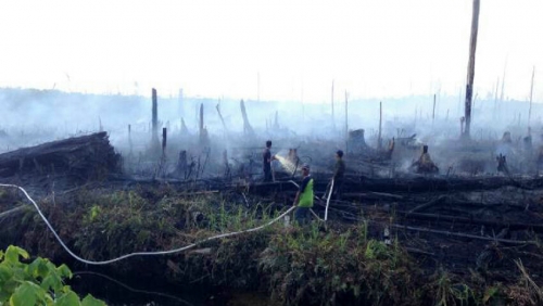 Lebih dari 22 Hektar Lahan Riau Terbakar! Polda Tetapkan 23 Orang Sebagai Tersangka