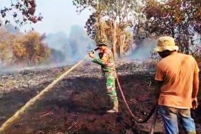 Kebakaran Hutan Terjadi di Rohul di Areal yang Kayunya Sudah Ditebang