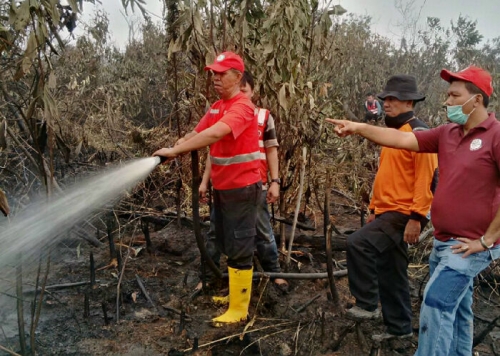 Hanguskan 100 Hektare, Akhirnya Kebakaran Lahan di Pangkalan Kerinci Dapat Dipadamkan