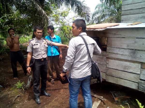 Halau Kawanan Beruang Liar, Warga Pelalawan Bersama BKSDA Pasang Perangkap