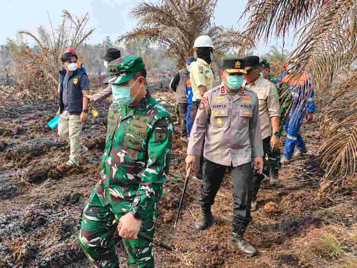 Tindak Tegas Pembakar Lahan di Riau, Polisi Tetapkan 44 Tersangka Karhutla
