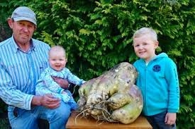 Petani Australia Hasilkan Lobak Terbesar di Dunia Seberat 18,36 Kilogram, Ini Penampakannya