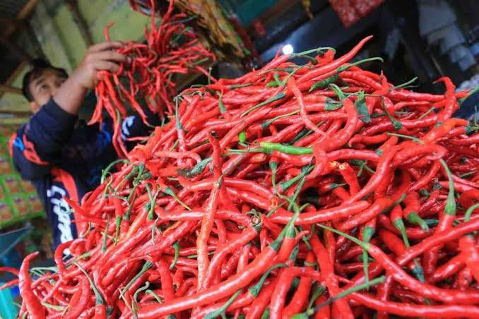 Awal Oktober 2026, Harga Cabai di Kuansing Tembus Rp100 Ribu per Kg