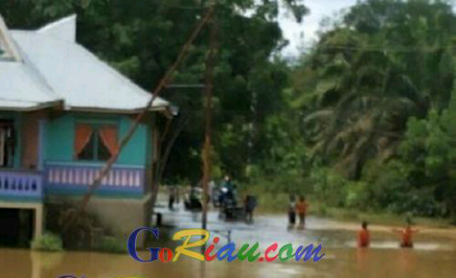 Siaga Banjir, BPBD Pelalawan Waspadai Luapan Air Sungai Kampar