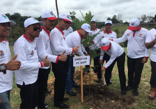 Ribuan Pohon Ditanam di Pekanbaru