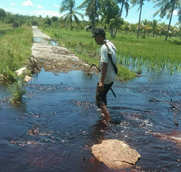 GoRiau - Tanggul Jebol, Pendangkalan Dua Sungai Di Rangsang Barat ...