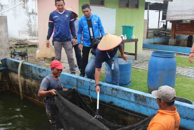 Lapas Pekanbaru Panen 2 Ton Ikan Patin dari Program Pembinaan WBP