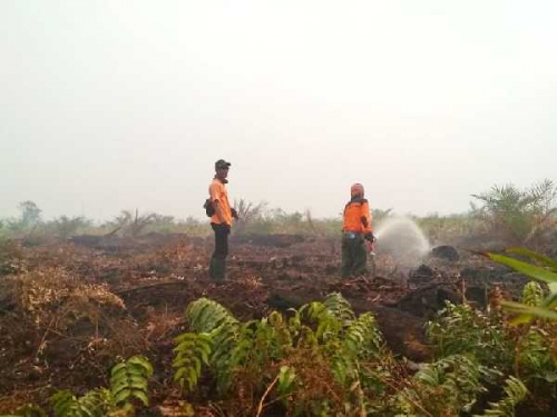 Kebakaran Lahan di Riau Sudah 66,5 Hektare, Belum Ada Tersangka