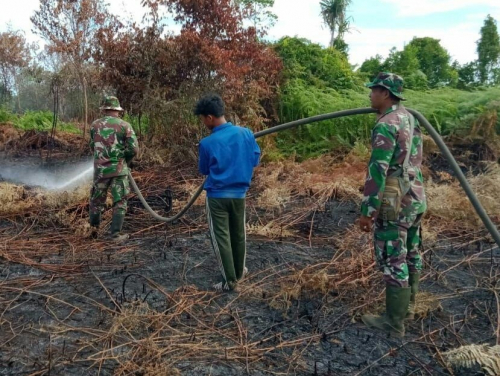 Awal 2020 Sudah 21 Hektar Lebih Lahan di Riau Terbakar