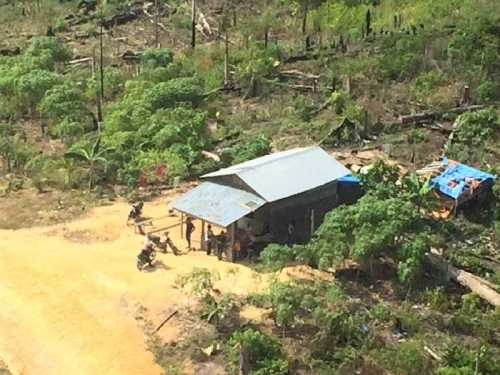 DPRD Riau Minta Polda Tidak Hanya Sekedar Berwacana Ungkap Perambah Hutan TNTN