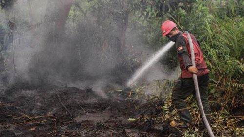 Untuk Warga Riau, Jika Ada Kebakaran Hutan dan Lahan, Segera Hubungi Nomor Ini..