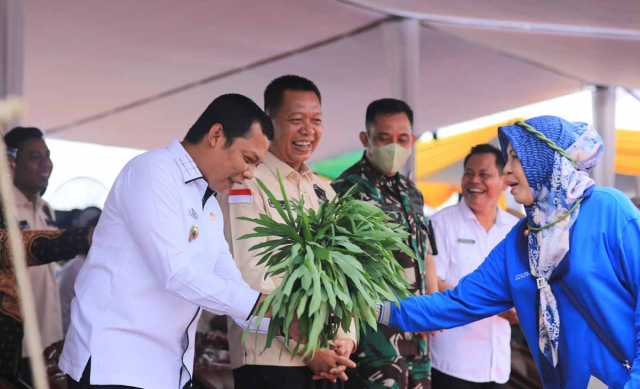 Pemko Pekanbaru Libatkan KWT Seluruh Kecamatan untuk Gerakan Menanam Cabai