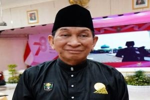Kecam Pembunuhan Gajah di Ukui, LAMR: Jaga Alam Demi Anak Cucu