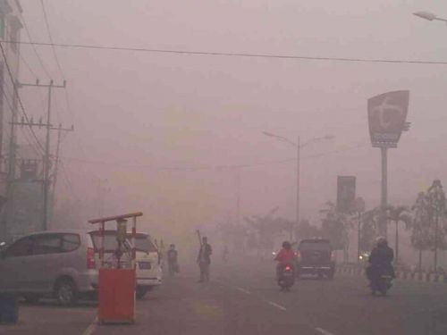 Pekanbaru dan Rohil Terbanyak Penderita ISPA Akibat Kabut Asap