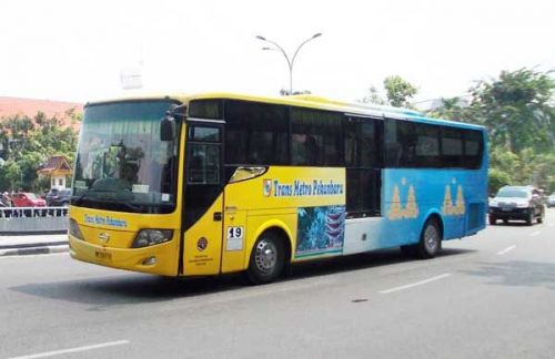 Tambahan 70 Transmetro Pekanbaru Ancam Masa Depan Sopir Bus Swasta