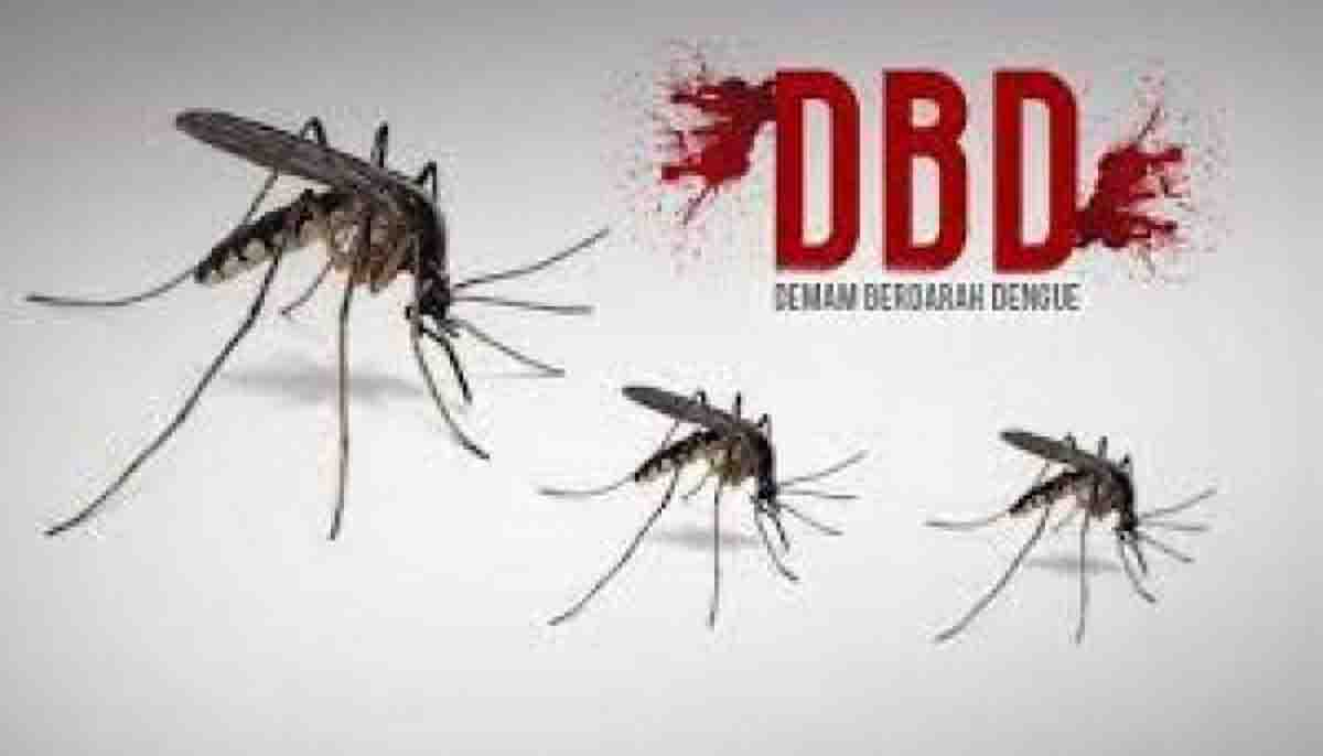 Kasus DBD Capai 1.471, Dinas Kesehatan Riau: Jangan Anggap Sepele