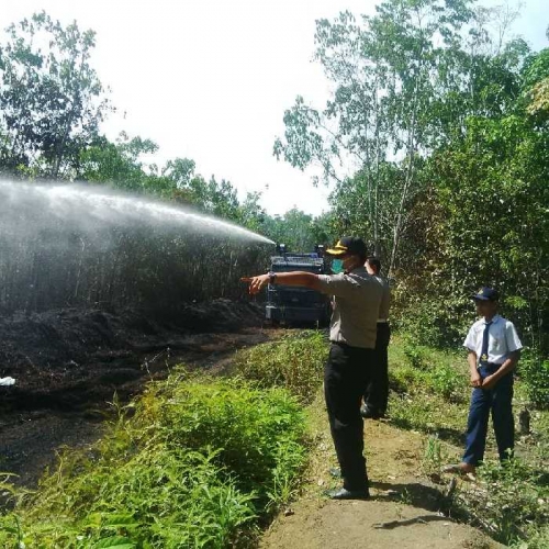 Polisi, TNI dan Damkar Berjibaku Padamkan Kebakaran Kebun Karet di Telukkuantan