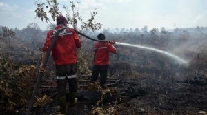 GoRiau Kapolda Akan Copot Kapolres yang Tak Maksimal Mitigasi Karhutla