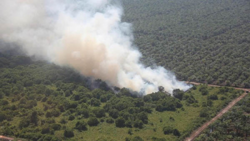 Luas Lahan Terbakar di Riau Capai 6.425 Hektare