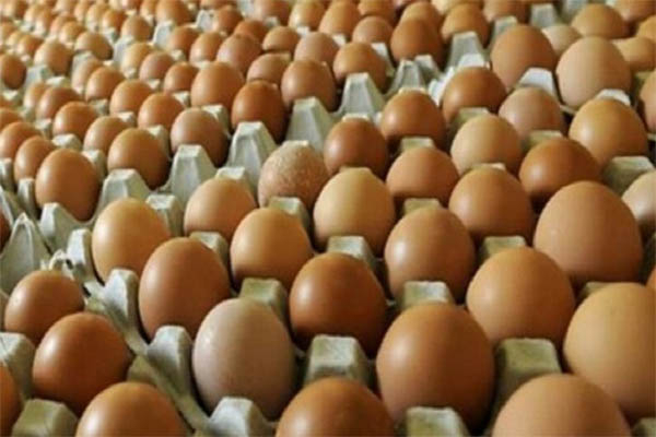Ada-ada Saja, Pura-pura Membeli, Dua Pemuda di Pekanbaru Ini Malah Larikan 50 Papan Telur
