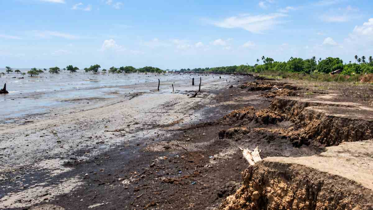 Selamatkan Pesisir Inhil dari Abrasi, Pemprov Riau Rancang Penataan Terpadu Kuala Selat