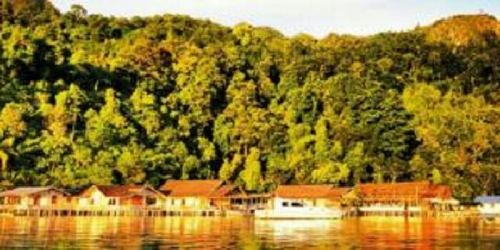 Terjebak di Pulau Terpenci, 600 Lebih Warga di Maluku Tengah Terancam Mati Kelaparan dan Terserang Penyakit, Beberapa Orang Sudah Meninggal
