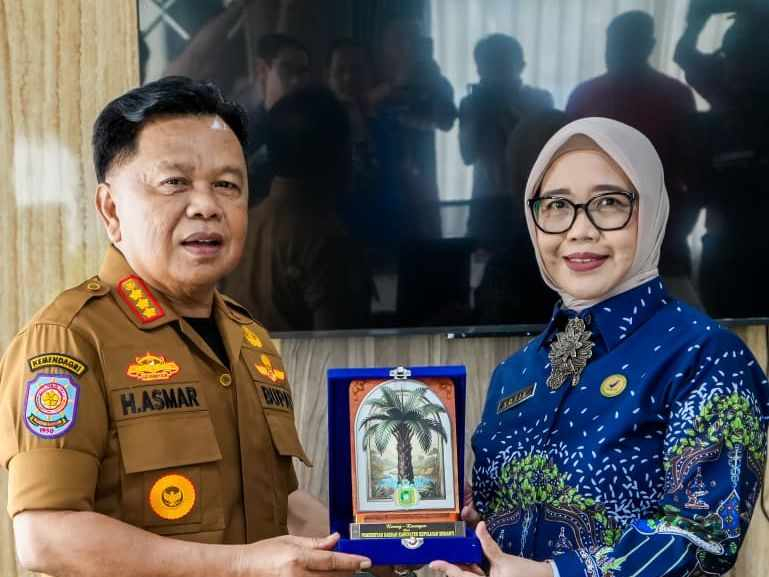 Bupati Kepulauan Meranti Minta BBPOM Bijak Awasi Barang Luar Negeri, Singgung Kebutuhan Warga