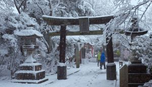GoRiau Badai Salju Terburuk Landa Jepang, 5 Tewas