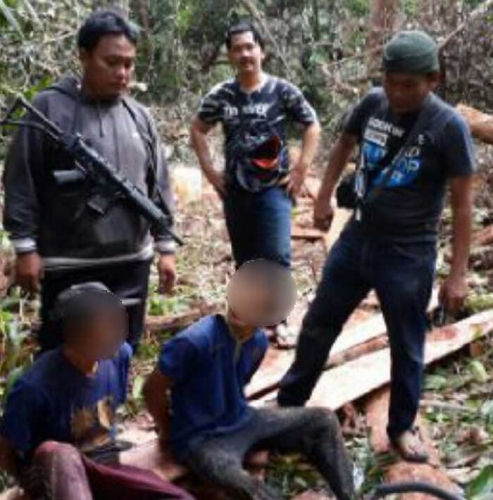 Polisi Bersenjata Tangkap Pembalak Liar Asal Lampung di Areal Hutan Lindung Suaka Margasatwa Kerumutan Pelalawan