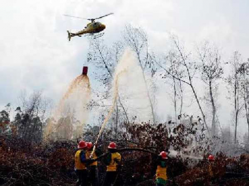 Kementerian LHK Siagakan Satu Helikopter Siram Lahan Terbakar di Riau