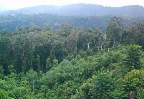 Kampung 40 Siak Masuk Wilayah Hutan, 86 KK Terancam