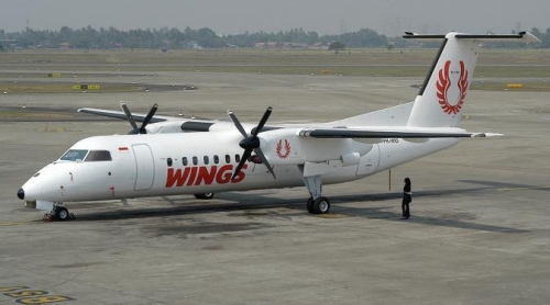 Berlaku Tak Pantas kepada Pramugari Setelah 30 Menit Mengudara , Seorang Penumpang Wings Air Diturunkan Paksa di Bandara