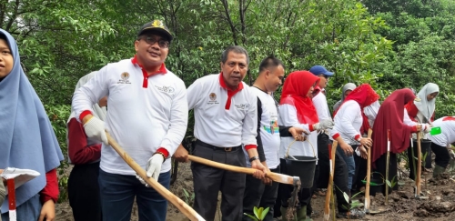 Dukung Pemulihan Daerah Aliran Sungai, Pemkab Siak Tanam 1.000 Bibit Mangrove