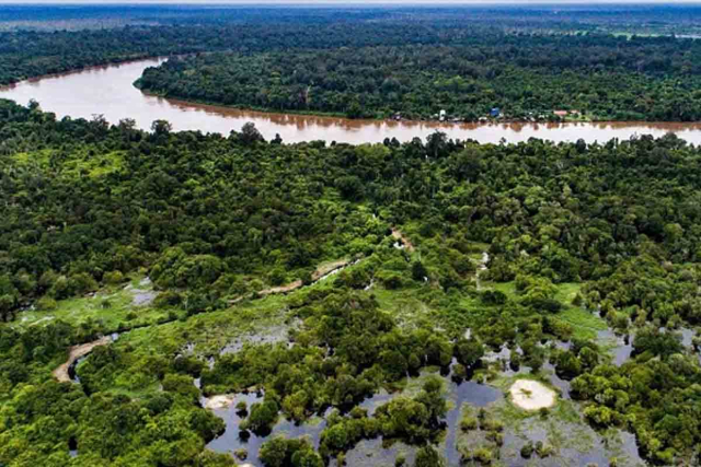 Miliki 5,3 Juta Hektare, Riau Miliki Gambut Terluas di Indonesia