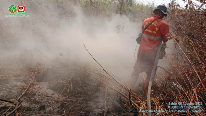 GoRiau Lebih dari 50 Hektare Lahan Hangus, Karhutla Inhu Rambah Hutan Primer
