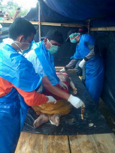 Pastikan Penyebab Kematian Kembang Desa Siambul Inhu, Tim Forensik Polda Riau Otopsi Jasad Astuti