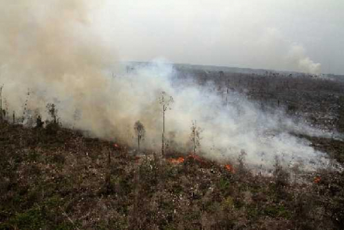 KLHK: Luas Kebakaran Lahan di Riau 30.065 Hektare