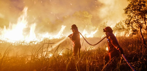 Api Karhutla Terus Meluas, DPR Soroti Lemahnya Kelembagaan Penanganan Kebakaran