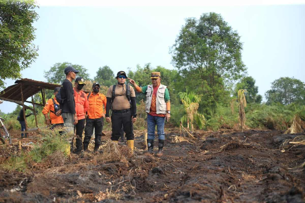 87 Hektare Lahan Gambut Meranti Hangus, Tim Gabungan Kepung Kepala Api di Gemalasari